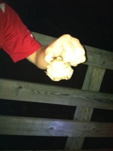 lots of toads on the course at night, almost stepped on a few!